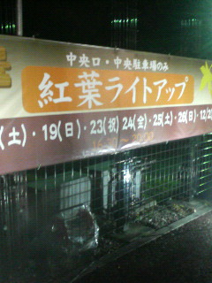 P1000432.jpg